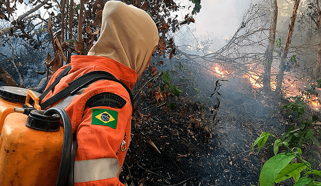 Bolívar, equipo que disputa la Primera División del fútbol boliviano, hará una importante donación para controlador el incendio en el Amazonas.