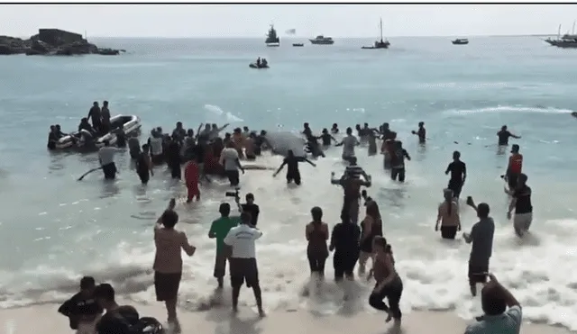En Facebook, el rescate que hicieron un grupo de bañistas a una ballena se ha viralizado.