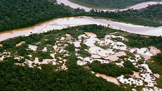 Madre de Dios: Depredación de bosques avanza impulsada por la fiebre del oro