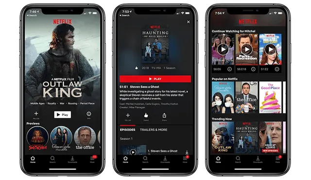 Netflix espera aumentar las suscripciones en los próximos meses.
