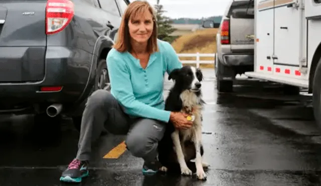 Estados Unidos: mujer renunció a su trabajo para hallar a su perro