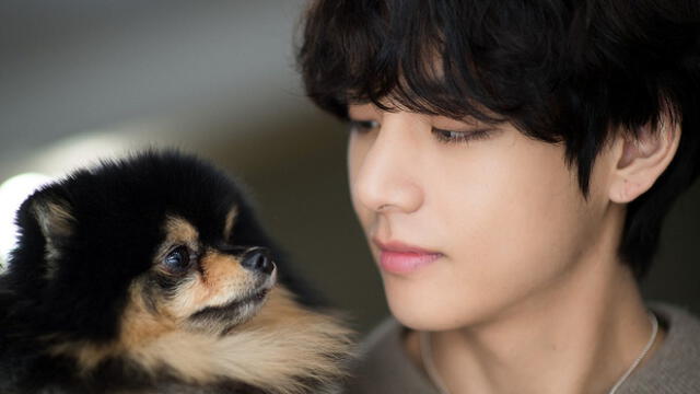 Taehyung posa junto a Yeontan para Naver x Dispatch