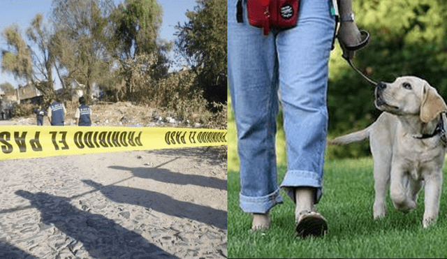 México: sacó a pasear a su perro y halló dos cuerpos descuartizados en la calle
