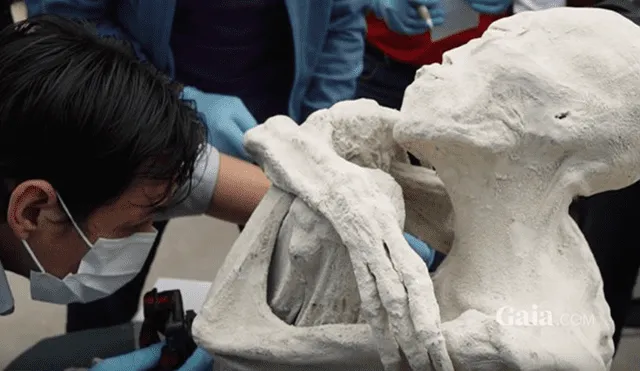Genetistas rusos dan insólita teoría sobre el origen de momia 'María' de Nazca  [FOTOS]