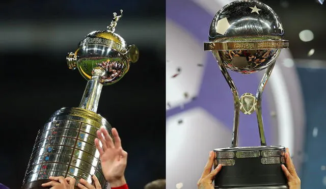 La Copa Libertadores y Copa Sudamericana 2020 quedaron suspendidas a pocos meses de haber iniciado.