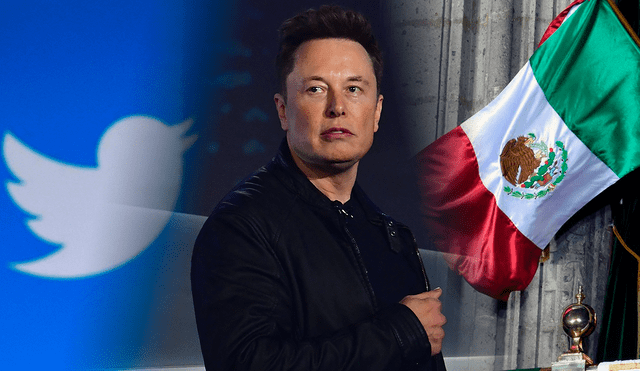 Elon Musk despidió a los empleados de Twitter México. Foto: composición/LR/AFP