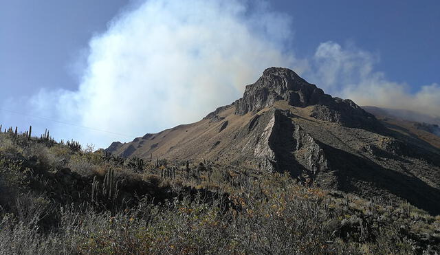 Arequipa: Incendio en Castilla se dividió en tres partes [FOTOS]