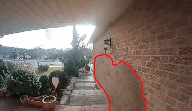 YouTube Viral: Un 'fantasma' que perturbaba la puerta de una casa fue captado por cámaras [VIDEO] 
