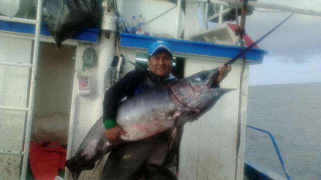 Chimbote: Patrón de lancha fue condenado por pesca ilegal de pota 