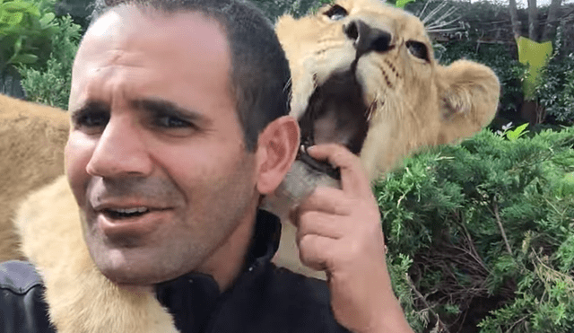 Facebook viral: leona tiene curiosa reacción tras reencontrarse con su cuidador después de años [VIDEO]