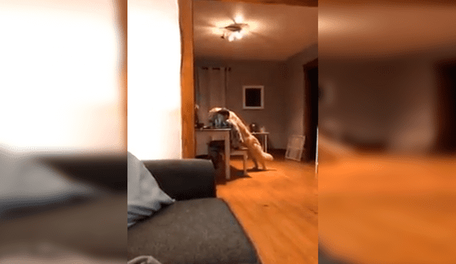 En Facebook, un padre colocó una cámara de seguridad en su casa y descubrió tierna escena protagonizada por su hijo y perro.