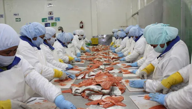 Exportación de pesca para el Consumo Humano creció 27,9% en el 2018