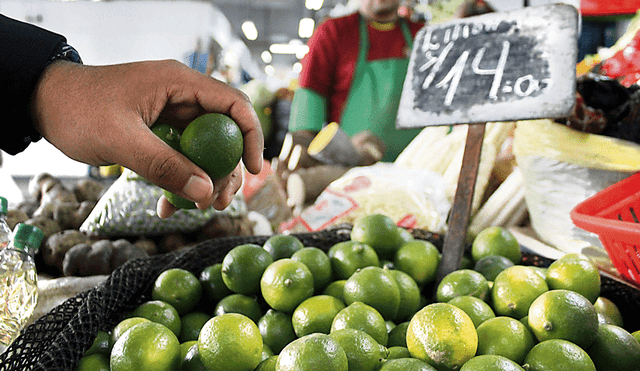 Minagri advierte reducción en el precio del limón, pero en mercados aún es alto