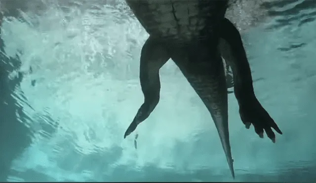 Un video muestra el aterrador momento en el que un buzo se topa con una enorme criatura.