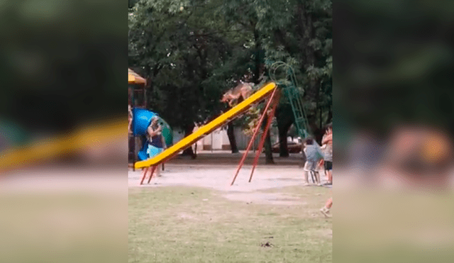 En YouTube, unos niños aprovecharon la ausencia de su madre para ir al parque a jugar con su mascota.