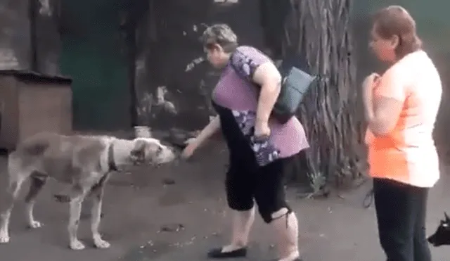 Conmovedor reencuentro de un perro con su dueña hace llorar a usuarios.
