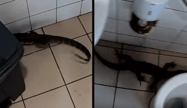 YouTube viral: quería usar baño de gasolinera y halla a 'temible criatura' dentro del inodoro [VIDEO]
