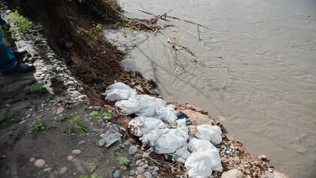 Madre de Dios: más de 30 viviendas quedan inhabitables tras desborde de río [FOTOS]