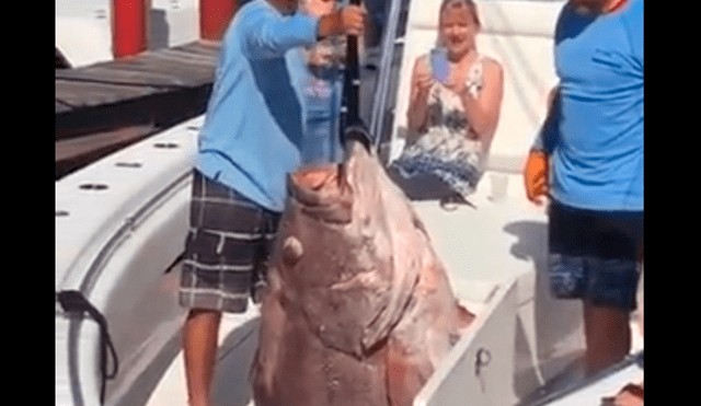 YouTube viral: pescadores quedan aterrados al ver misteriosa criatura que salió del océano [VIDEO]