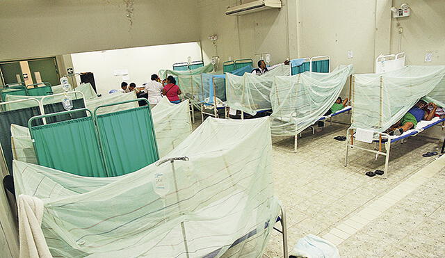 A 22 se eleva cifra de fallecidos por el temible dengue en Piura