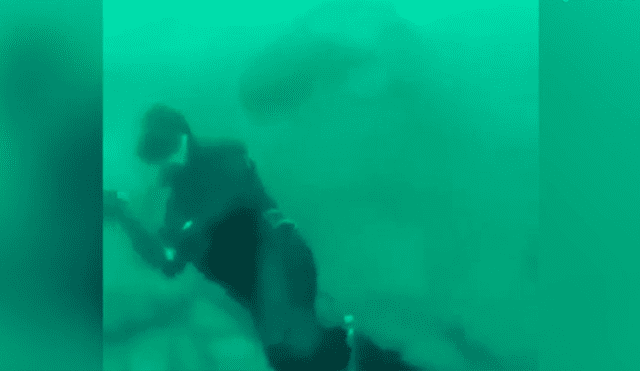 Vía Facebook. Un buzo se encontraba en el fondo del océano, sin imaginar que un feroz tiburón lo estaba acechando.