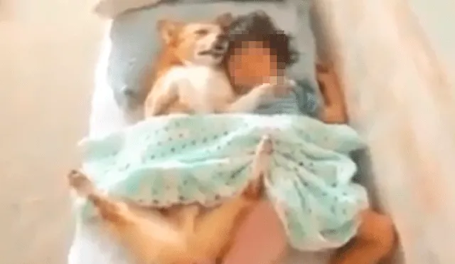 Desliza las imágenes hacia la izquierda para apreciar la emotiva escena entre una niña junto a su perro.