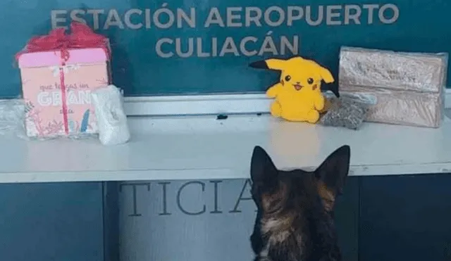 El muñeco de peluche fue hallado por los caninos especializados en la detección de narcóticos. (Foto: Difusión)