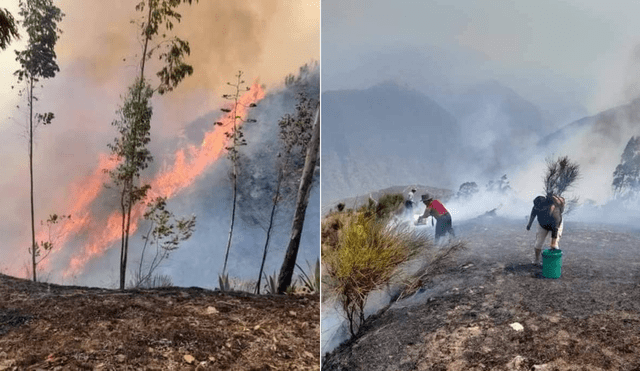 Incendios forestales en Apurímac. Foto: Difusión