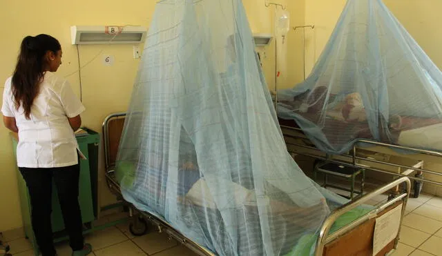 Minsa reporta al menos 8.000 casos probables de dengue en todo el país