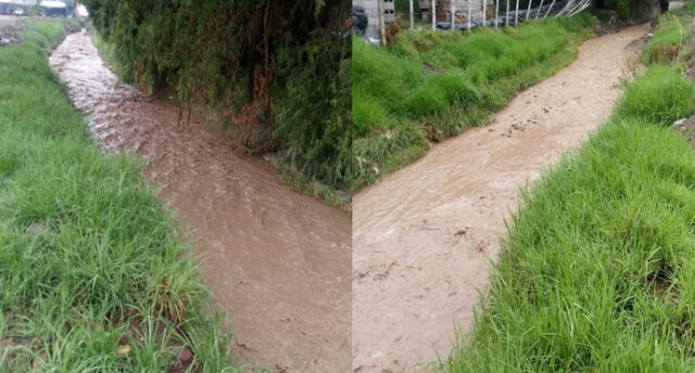Alerta en el distrito de Sachaca por estado de torrentera tras lluvias en Arequipa [VIDEO]