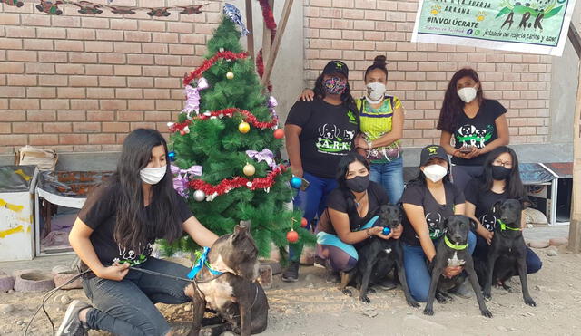 Rifa se realiza para ayudar a más de 1.000 mascotas de Lima y regiones. Foto: Raúl Egúsquiza/La República