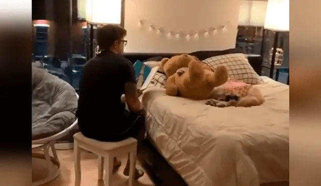 Desliza las imágenes para apreciar el emotivo momento entre un joven junto a la mascota de su pareja. Foto: Dog Lovers.