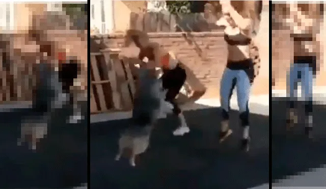 Twitter: Chicas se ejercitan y su mascota les sorprende con impensados movimientos [VIDEO]