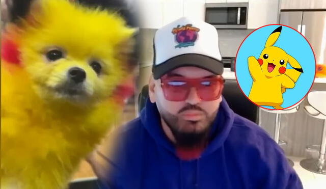 El hombre defendió su decisión de pintar a su perro como Pikachu, a pesar que muchos señalaron que fue maltrato animal. Foto: composición LR/captura NBC/Pokémon