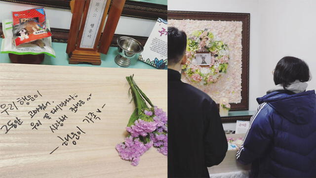 2AM: Jo Kwon enterró a su mascota y sus amigos le mostraron su apoyo en Instagram