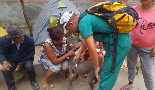 Decenas de mascotas enfermas por las inundaciones y huaicos