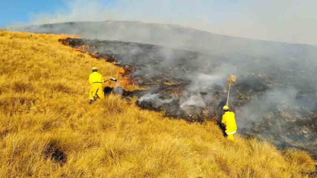 Preocupa aumento de incendios forestales en Cusco: Foto: Sernanp.