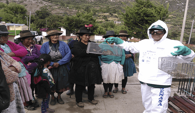 Ayacucho: Conforman comités para el control de roedores en Fajardo y Sucre