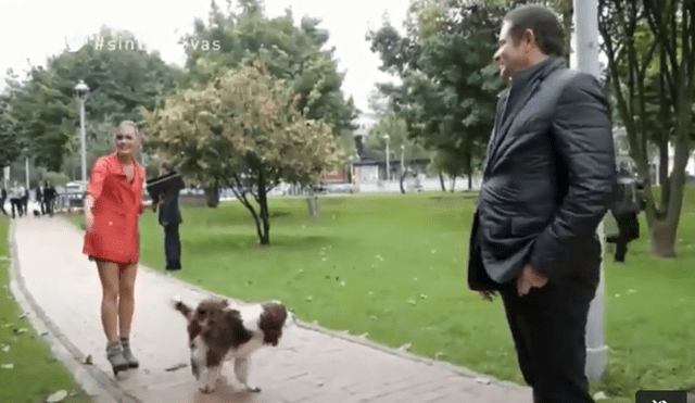 YouTube Viral: Perro defeca durante entrevista a político en Colombia [VIDEO]
