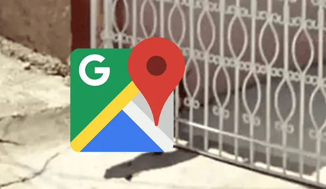 Google Maps: Perro es captado tras intento fallido de escape [FOTO]