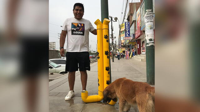 Carabayllo: colocan dispensadores de comida para perros que viven en la calle [FOTOS]