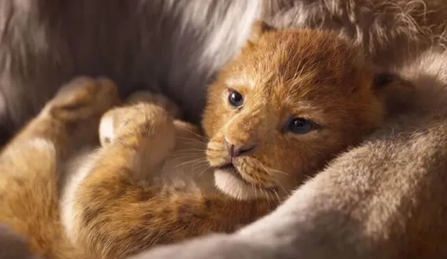 Disney revela tráiler de El rey león