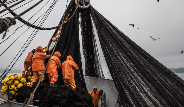 Buscan evitar que más de 50 mil kilos de redes de pesca en desuso contaminen el mar peruano