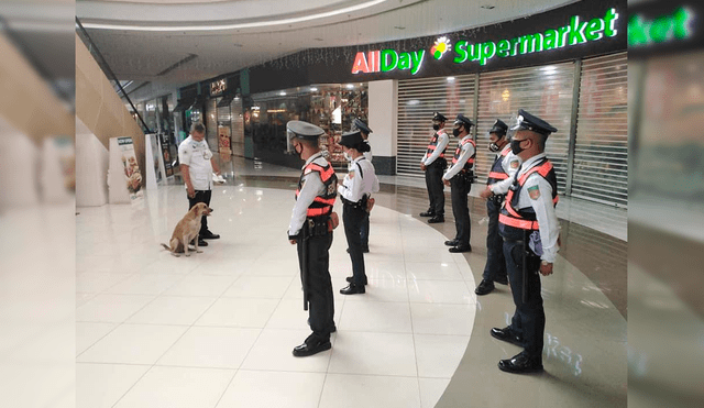 Desliza las imágenes para conocer a Dogdog, el nuevo agente de seguridad del centro comercial en Filipinas. Foto: Facebook