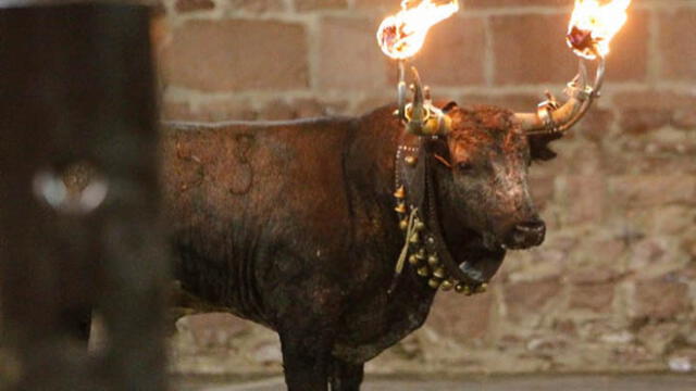 Torturaron a toro con fuego en sus cuernos y todo acabó en tragedia [VIDEO]