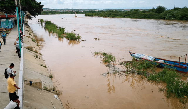 Río Tumbes: desborde afecta 900 hectáreas agrícolas y aísla 12 caseríos 