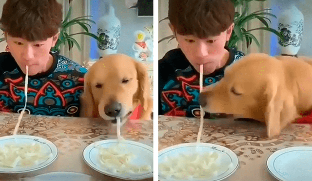 Desliza las imágenes para apreciar la competencia entre un joven y su perro al comer más rápido unos fideos. Foto: Captura.