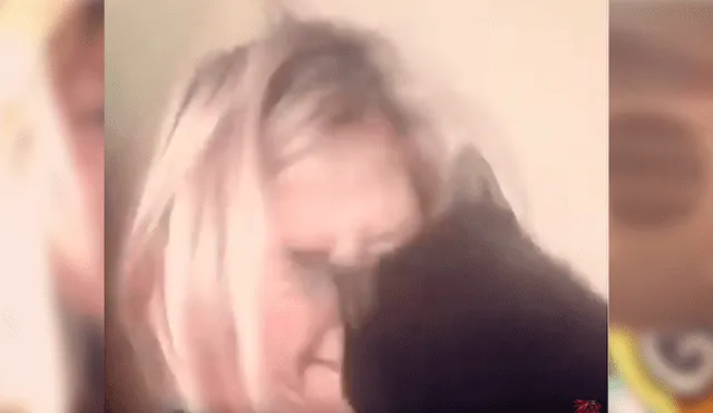 Facebook viral: Gato tuvo una inesperada reacción al escuchar cantar desafinado a su dueño [VIDEO] 
