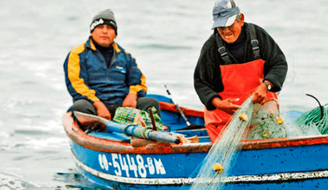Perú tendrá 18 puertos pesqueros artesanales en el 2020