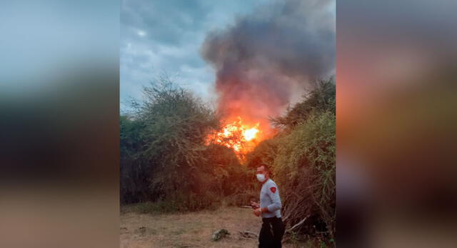 Incendio forestal en el sector Jotoro en el distrito de Jayanca.
